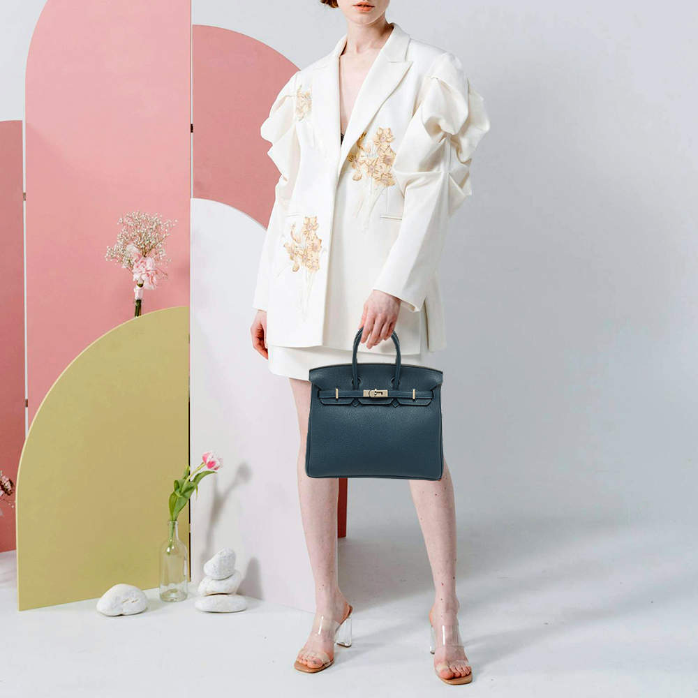 Hermes Birkin 25 Palladium Finish Colvert Togo Leather Tote